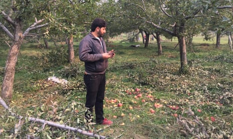 India's apple farmers count cost of climate crisis as snow decimates crops  | Global development | The Guardian