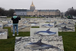 Paris, France. An onlooker stands amid 400 placards depicting dolphins displayed on the Esplanade des Invalides by members an animal rights group