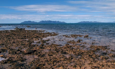 Photo taken in 2012 depicting the reef flats around Stone Island