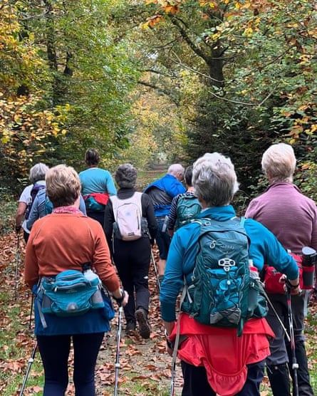 A group of people walking through the woods.