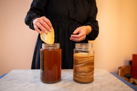 How to Make a Scoby, Cooking School