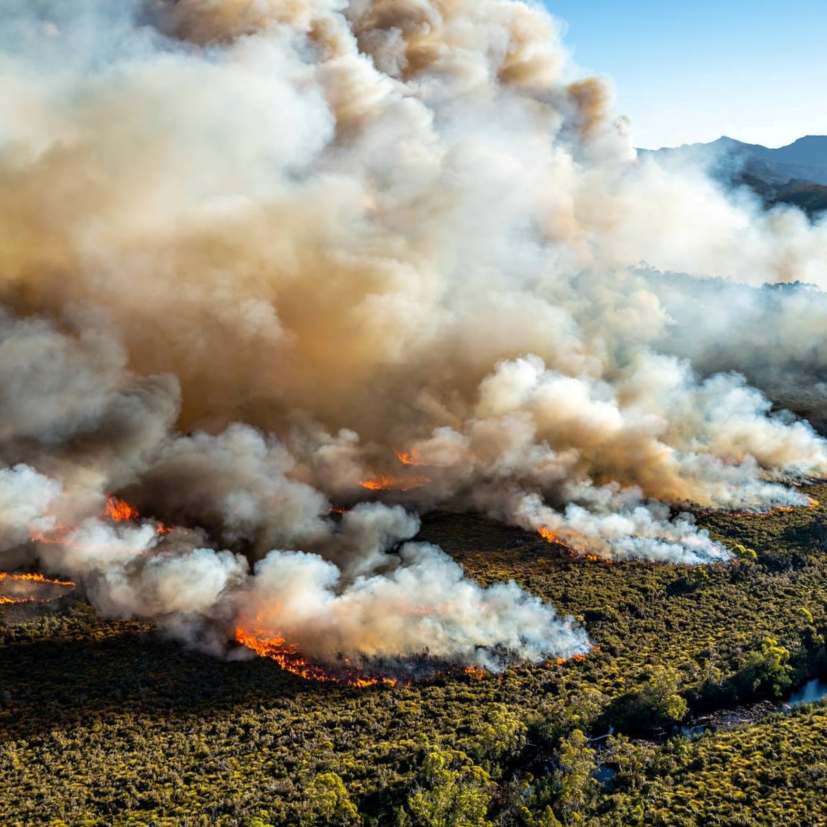 Australia S Record On Emissions And Sustainability Condemned By Oecd Review Environment The Guardian