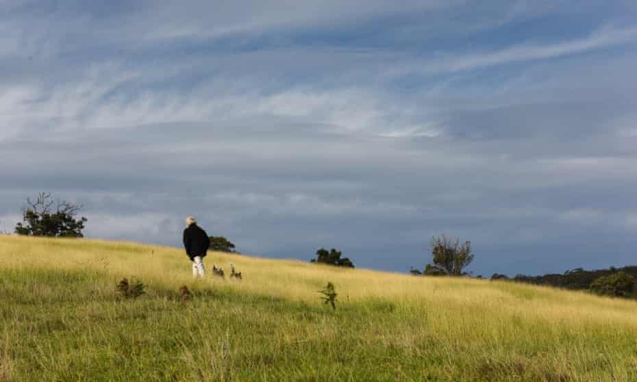 For the first time in around 200 years, Australian native plant mandadyan nalluk (dancing grass) is harvested on Indigenous author and farmer Bruce Pascoe's property in East Gippsland, Victoria for the purpose of making bread.