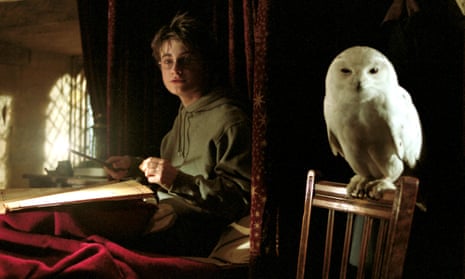 Harry Potter with his owl, Hedwig.