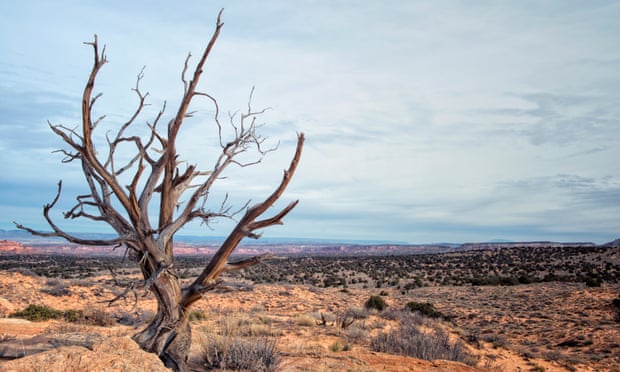‘Wounds of time …’ the parched landscape of the American west.
