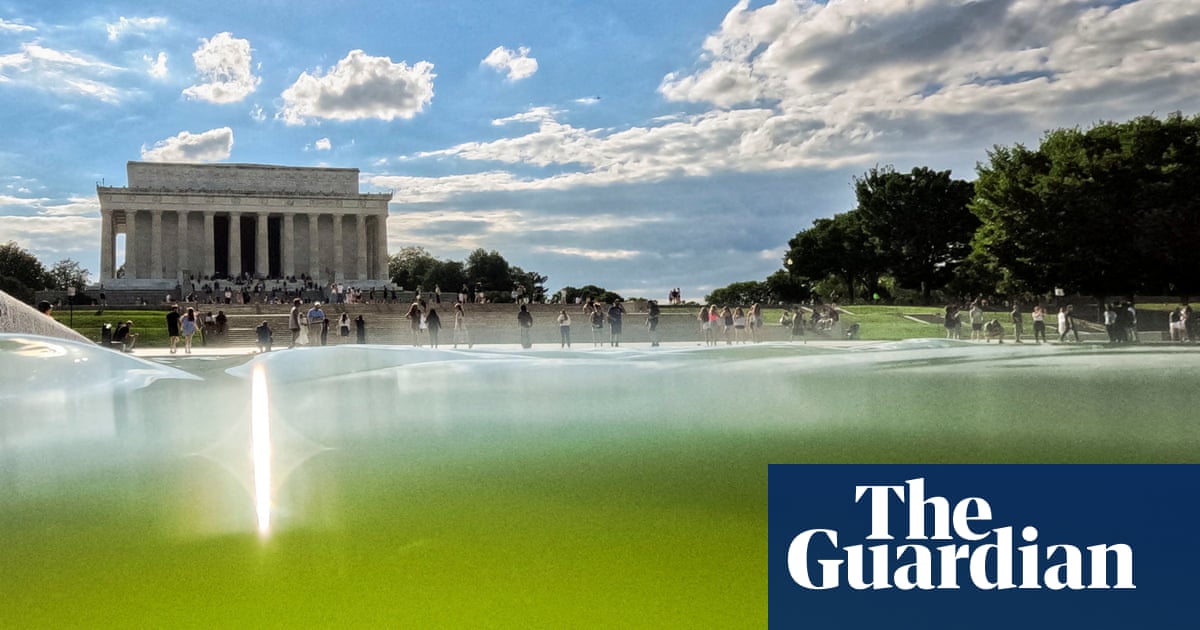 Algae thwarts Trump’s $14.2m attempt to turn reflecting pool ‘American flag blue’