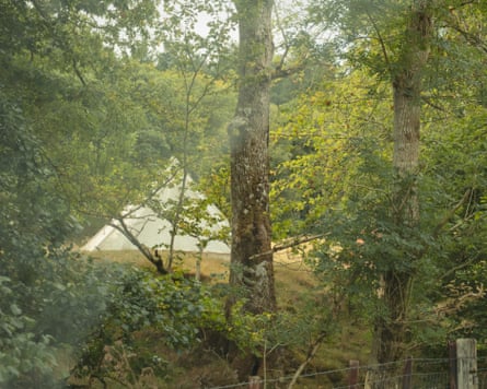 A tent in a field