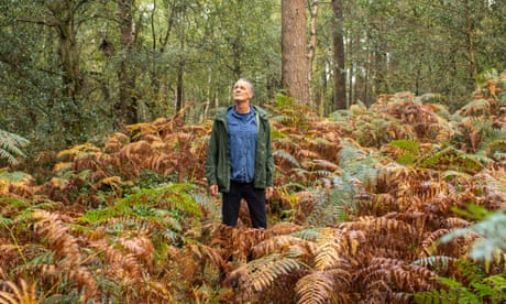 Andrew Anthony walks through the woods of Leith Hill in Surrey.