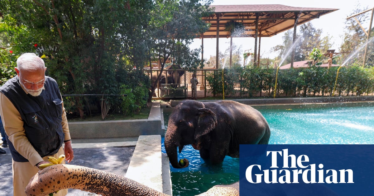 India's supreme court orders inquiry into giant zoo run by son of Asia's richest person