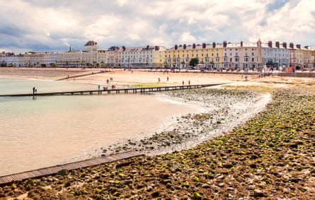 Shingle and sand beach with jetty and pastel coloured Victorian houses.