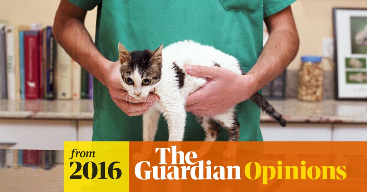 Why we are calling for a ban on vets offering homeopathic remedies | Danny  Chambers | The Guardian