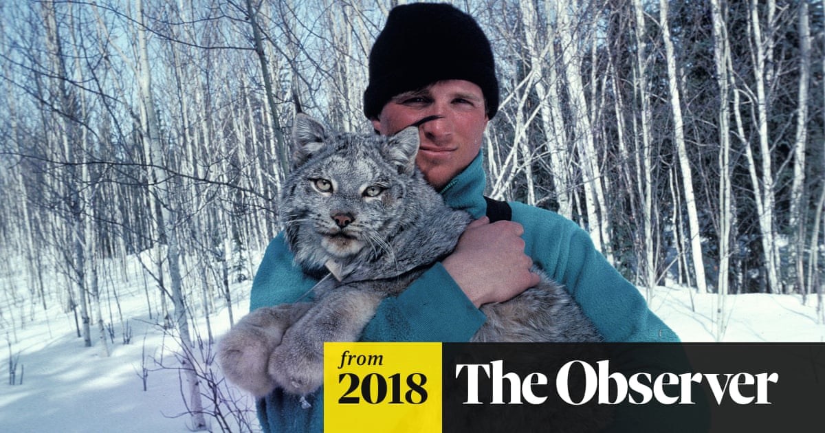 Paul Nicklen: ‘If we lose the ice, we lose the entire ecosystem’