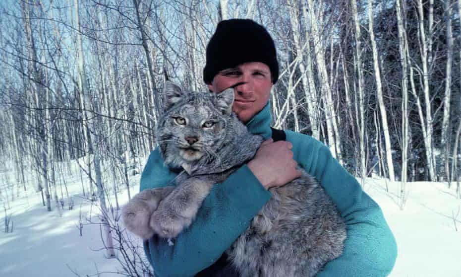 paul nicklen holding a wild canadian lynx in sunny snowy birch woodland