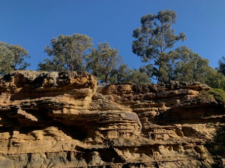 O penhasco de 8 m de altura ao longo do Edgars Creek em Coburg North, Melbourne, Austrália