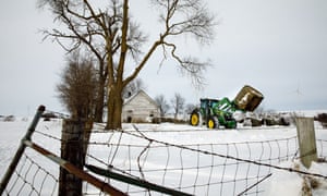 Farmer Jon Shelley moves bales of hay to feed cows in front of an abandoned school house.