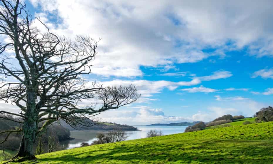 A view looking towards Carrick Roads on the river Fal in Cornwall, England, UK