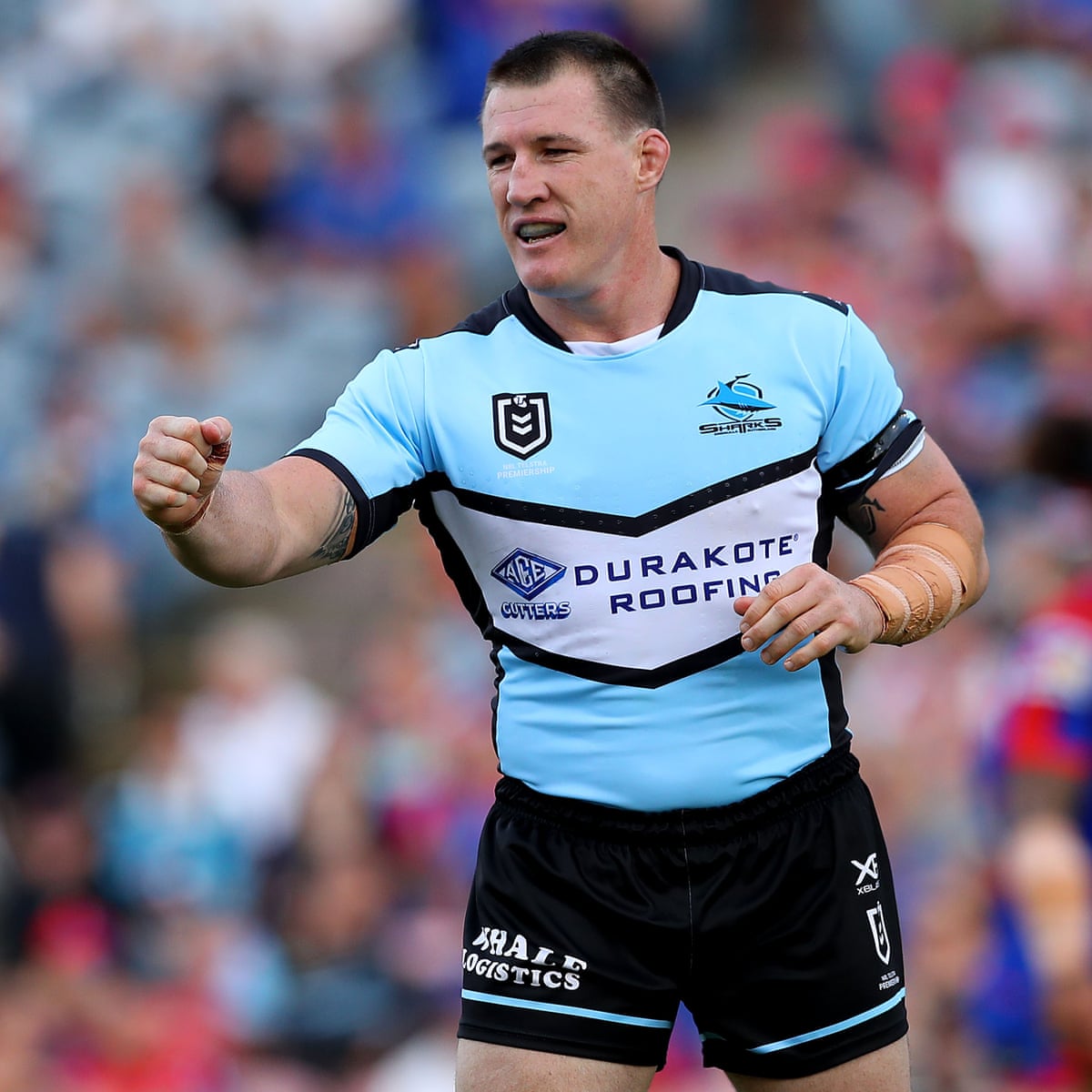 pics Paul Gallen Young sharks veteran paul gallen to retire at