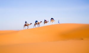 The travel industry is fighting for survival around the world.