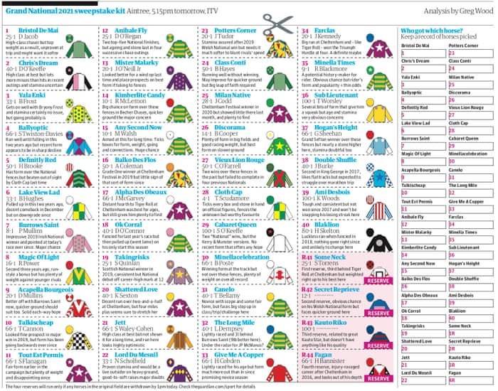 List Of Grand National Runners 2025 Suzy Zorana