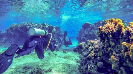 Two scuba divers swim in shallow water past a coral reef