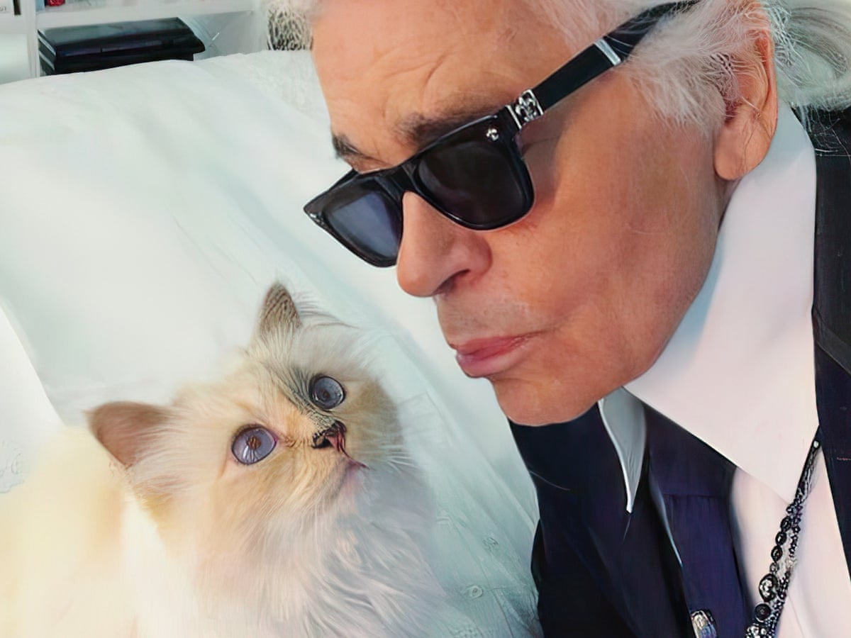 TV tonight: did Karl Lagerfeld really leave his fortune to his pet cat?, Television