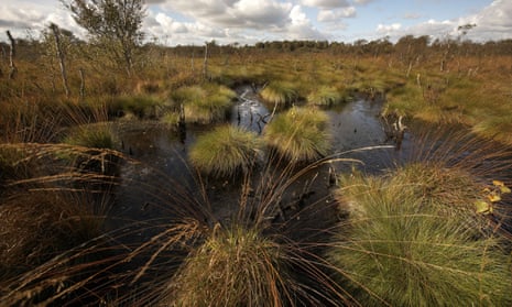 Crowle Moor and Thorne Moor national nature reserve in Yorkshire. The UK’s peatlands store three times as much carbon as the nation’s forests.