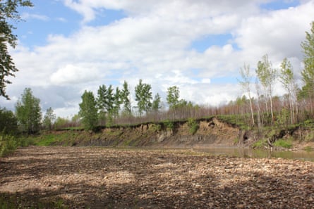 Burnt land from the Doig River Fire in May 2024