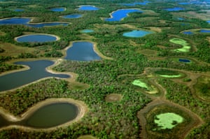 El Pantanal es herencia nacional': protegiendo a los humedales más ...