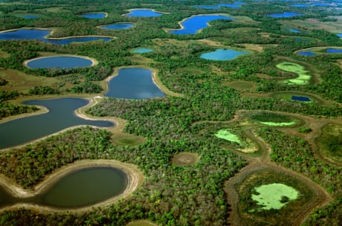 Lagoons during dry season, Pantanal, Brazil 
