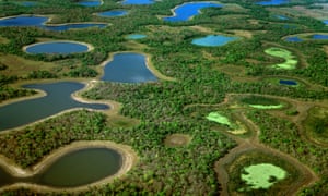 Resultado de imagem para bioma pantanal