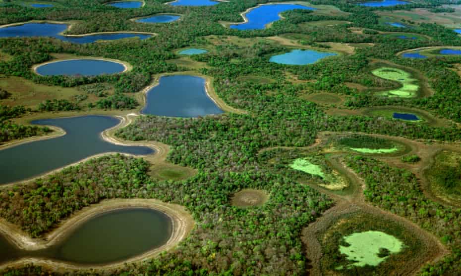 O Pantanal E Patrimonio Nacional Protegendo A Maior Planicie Alagavel Do Planeta Working In Development The Guardian