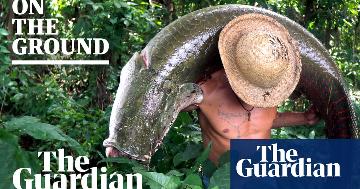 Defending the Amazon: retracing Dom Phillips and Bruno Pereira’s fatal journey – video