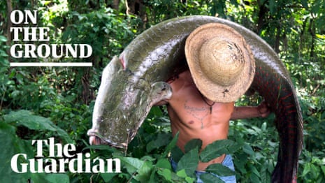 Defending the Amazon: retracing Dom Phillips and Bruno Pereira's fatal journey - video