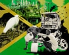 The race for oil: will Jamaica be the next country to drill and what does that mean for its green pledges?