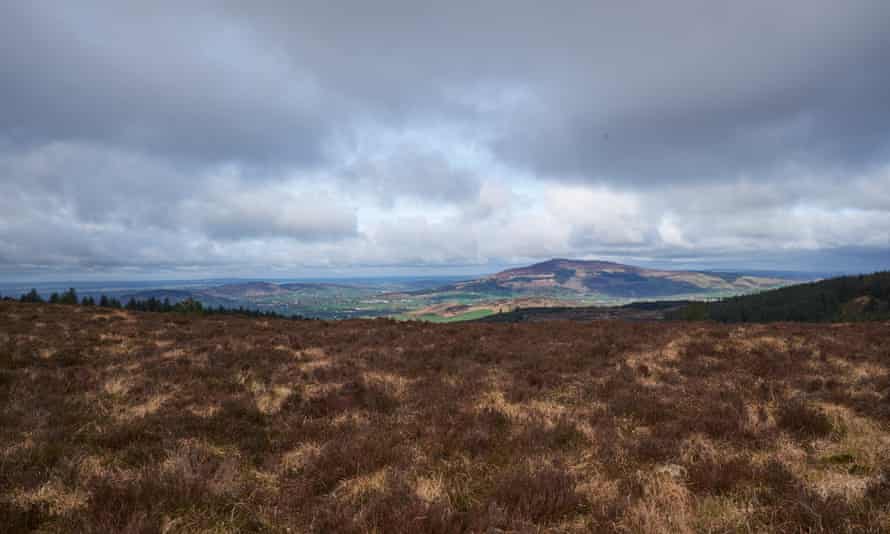 Cooley Mountains, Co Louth, looking across at Sleibh Gullion in South Armagh.