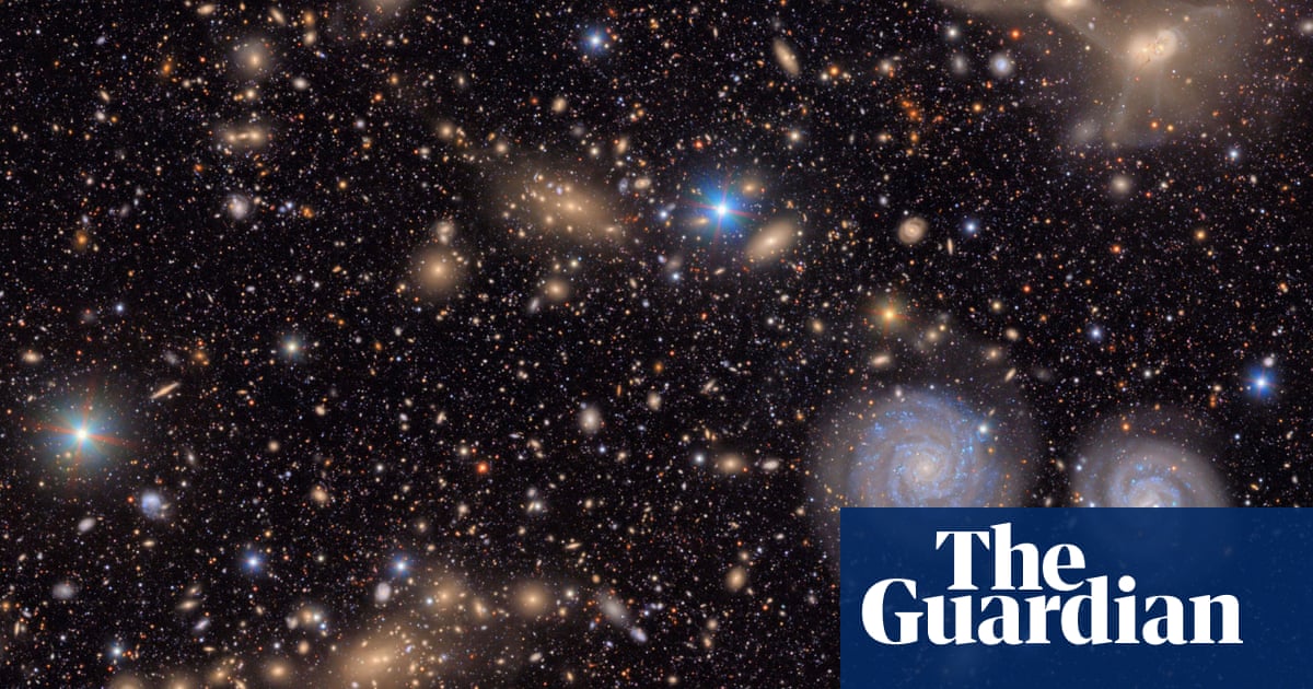 Can a revolutionary new telescope solve the mystery of planet nine? – podcast | Science Can a revolutionary new telescope solve the mystery of planet nine? – podcast | Science