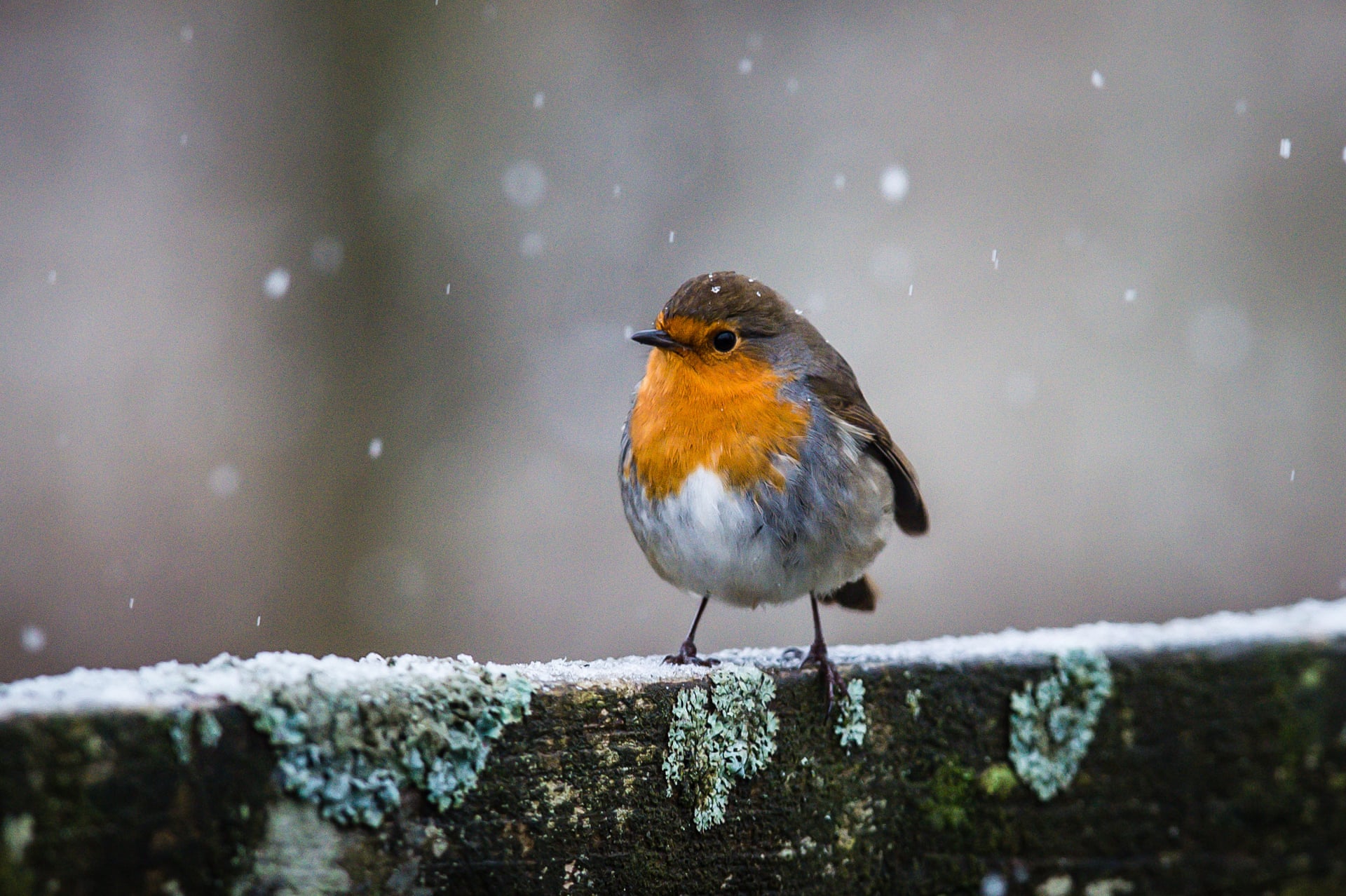 2568.jpg?w=1920&q=55&auto=format&usm=12&