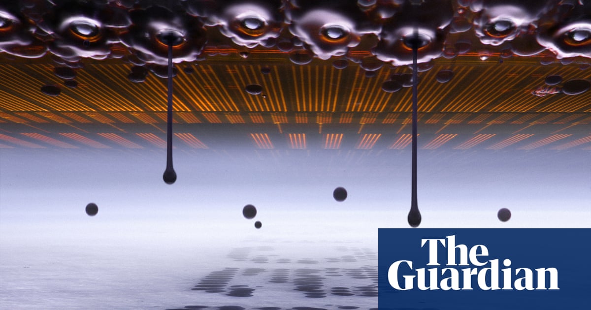 Nikon’s Small World photomicrography competition winners