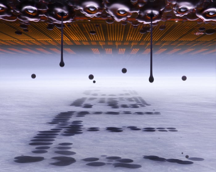 Nikon Small World 2025: Competition Winners Announced