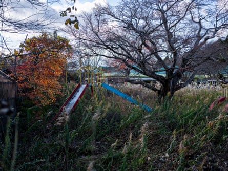 A playground overgrown with weeds and a small tree that almost hide a climbing frame and slide