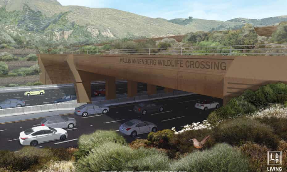 Rendering of the Wallis Annenberg wildlife crossing, which will span a busy section of highway near Los Angeles, allowing animals to pass safely.