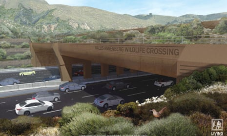 Rendering of the Wallis Annenberg wildlife crossing, which will span a busy section of highway near Los Angeles, allowing animals to pass safely.