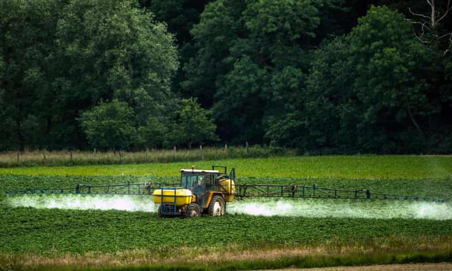 The global pesticides market is worth $50bn and companies lobby heavily to resist reforms and regulations. 