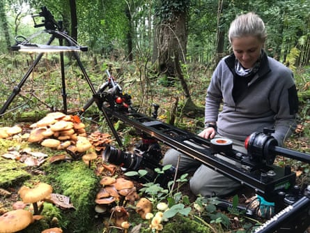 Wild Isles film-maker Katie Mayhew shooting fungi.