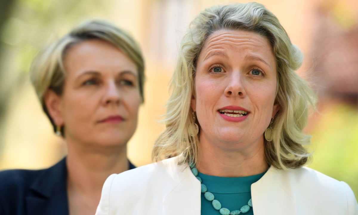 Labor's Clare O'Neil says party cannot afford to just shift to the left or right | Labor party | The Guardian