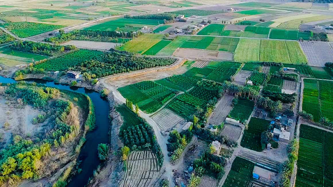 An aerial shot of Qaim, showing green fields and structures