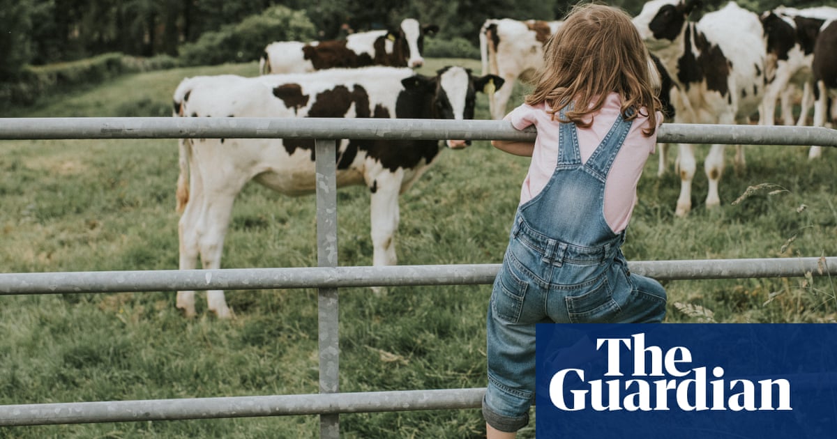Amy & Lan by Sadie Jones review – larks and losses on a rural commune
