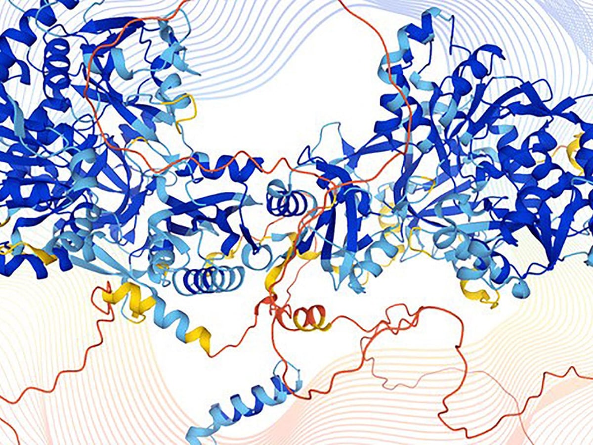 Protein Structures