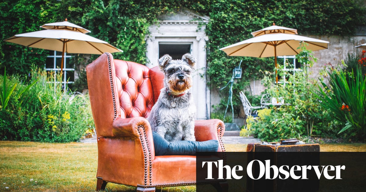 Canine comforts: five-star treats for the whole family – including the dog