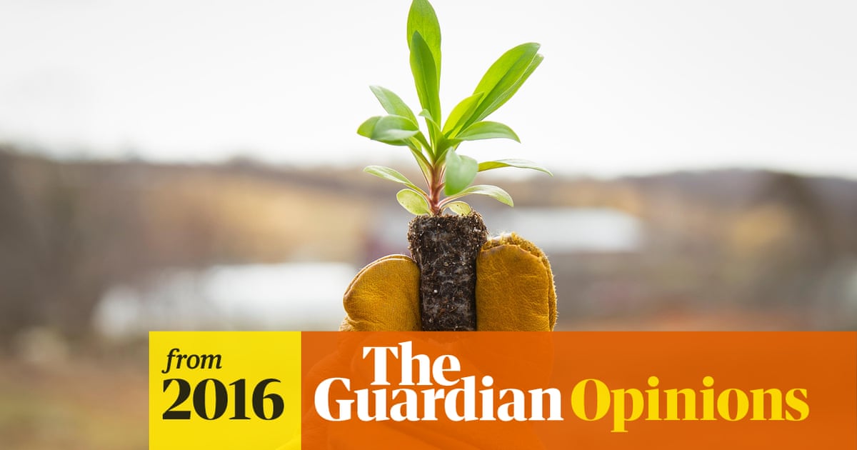 can we feed 10 billion people on organic farming alone guardian sustainable business the guardian